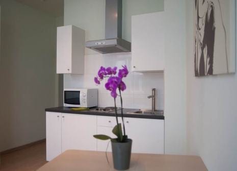 Verzorgde gemeubelde studio
